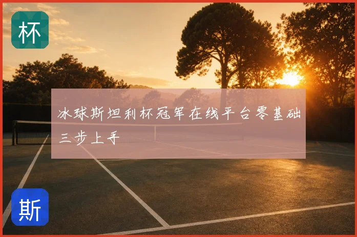 冰球斯坦利杯冠军在线平台零基础三步上手